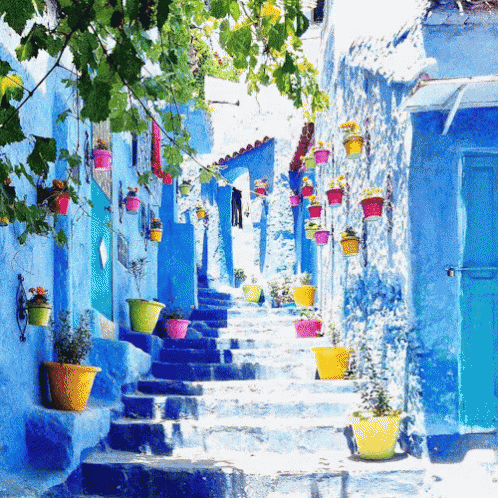 A Row Of Blue And White Buildings With Potted Plants On The Steps GIF