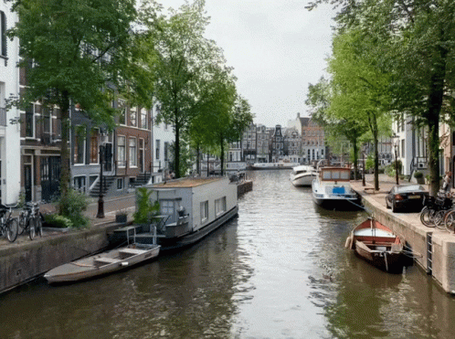 A Row Of Boats Are Lined Up On A River GIF