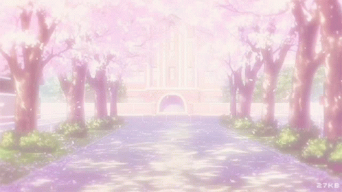 A Row Of Cherry Blossom Trees With Petals Falling From Them In Front Of A Building . GIF
