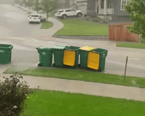 A Row Of Green Garbage Cans With Yellow Lids Are Lined Up On The Side Of The Road GIF