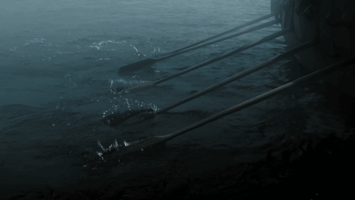 a row of oars are floating on the water