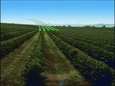 A Row Of Plants In A Field With A Blue Sky GIF
