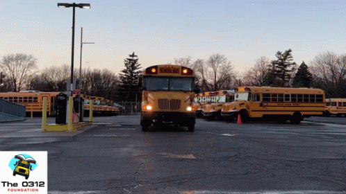 A Row Of School Buses Are Parked In A Lot GIF