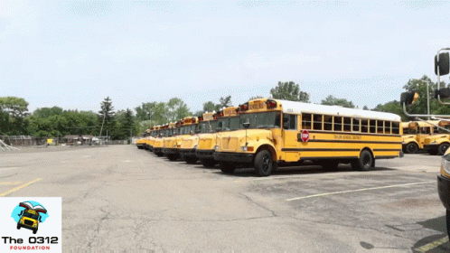 A Row Of Yellow School Buses Are Parked In A Lot GIF
