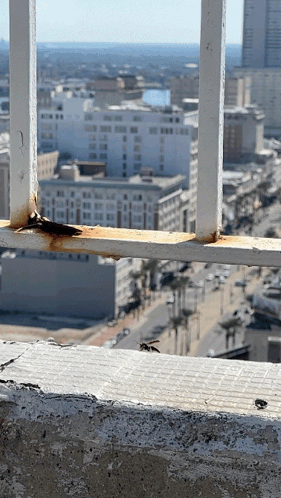 A Rusty Railing Overlooking A City With Buildings In The Background GIF