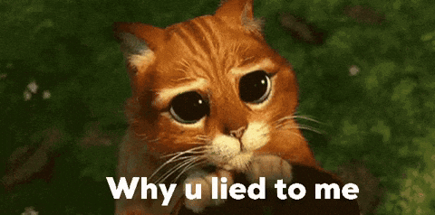A Sad Cat With The Words " Why U Lied To Me " Next To It GIF