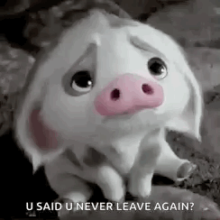 A Sad Pig With A Pink Nose Is Sitting On A Rock And Says `` U Said U Never Leave Again ? '' GIF