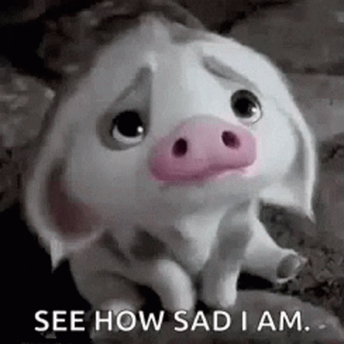 A Sad Pig With A Pink Nose Is Sitting On The Ground . GIF