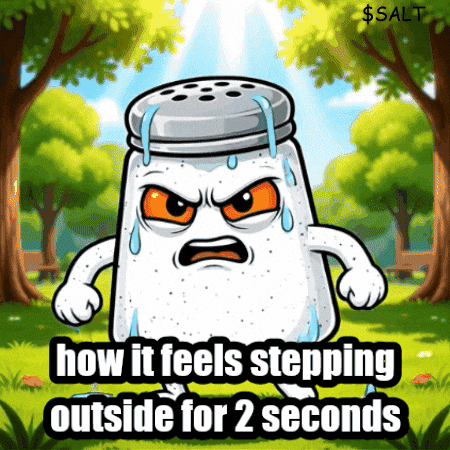 A Salt Shaker With Sweat Coming Out Of It And The Words How It Feels Stepping Outside For 2 Seconds On The Bottom GIF