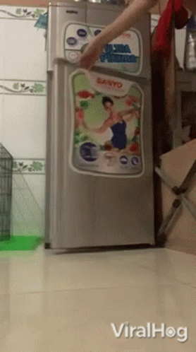 A Sanyo Refrigerator Is Being Opened By Someone GIF