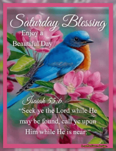 A Saturday Blessing With A Blue Bird On A Branch Of Pink Flowers GIF