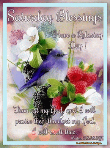 A Saturday Blessings Card With A Bird And Berries GIF