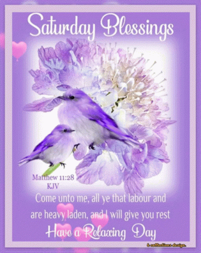 A Saturday Blessings Greeting Card With Purple Flowers And Two Birds GIF
