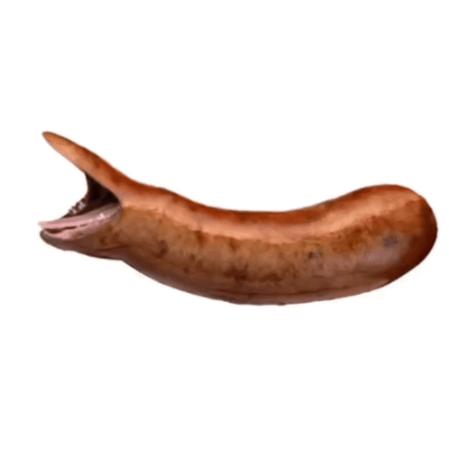 A Sausage With A Long Tongue Sticking Out Of It 'S Mouth GIF