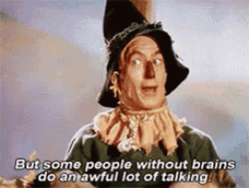 A Scarecrow From The Wizard Of Oz Is Saying But Some People Without Brains Do An Awful Lot Of Talking GIF