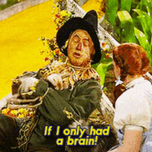 Scarecrow From Wizard Of Oz Says I Only Had A Brain GIF