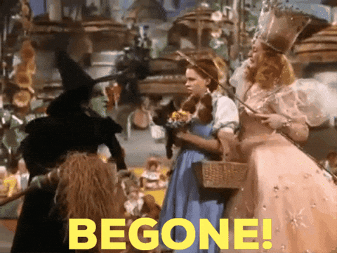 A Scene From The Movie The Wizard Of Oz With The Words Begone GIF