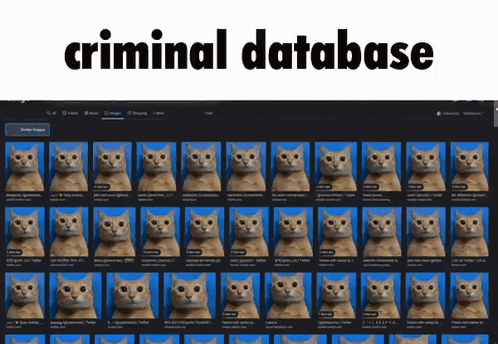 A Screen Shot Of A Criminal Database With A Bunch Of Pictures Of Cats GIF