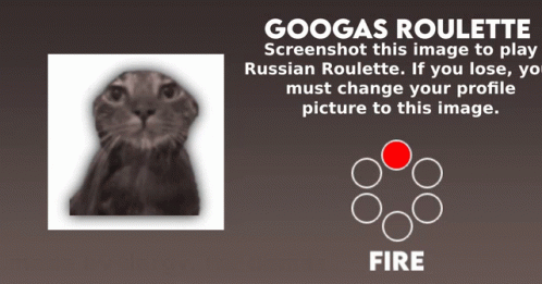 A Screenshot Of A Cat With The Words Googas Roulette Written Above It GIF