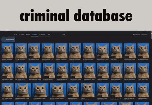 A Screenshot Of A Criminal Database With A Bunch Of Cats On It GIF