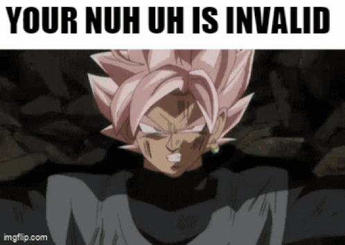 A Screenshot Of A Dragon Ball Z Character With The Caption Your Nuh Uh Is Invalid GIF