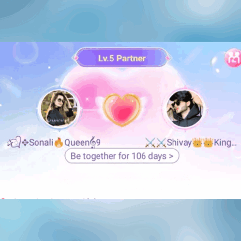 A Screenshot Of A Game That Says ' Lv.5 Partner ' On It GIF
