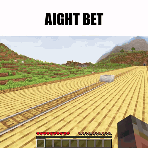 A Screenshot Of A Minecraft Game With The Words " Aight Bet " At The Top GIF