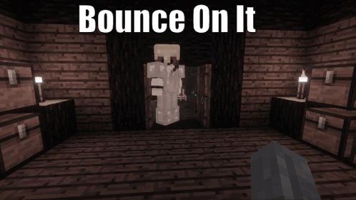 A Screenshot Of A Minecraft Game With The Words Bounce On It GIF