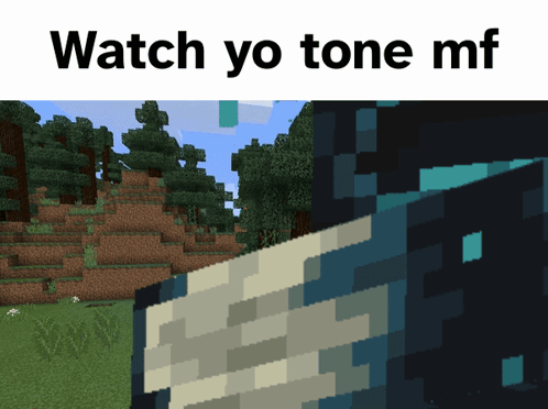 A Screenshot Of A Minecraft World With The Words Watch Yo Tone Mf GIF