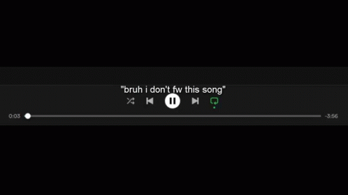 A Screenshot Of A Music Player With The Words `` Bruh I Do N't Fw This Song '' . GIF