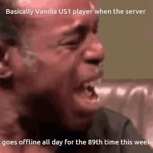 A Screenshot Of A Person Crying With The Caption Basically Vanilla Us1 Player When The Server Goes Offline All Day GIF