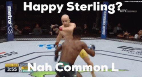 A Screenshot Of A Ufc Fight With The Caption Happy Sterling GIF