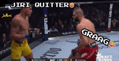 A Screenshot Of A Ufc Fight With The Words Jiri Quitter Graag GIF