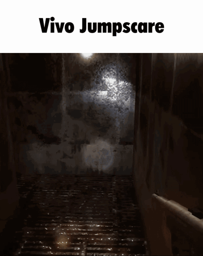 A Screenshot Of A Video Game Called Vivo Jumpscare GIF