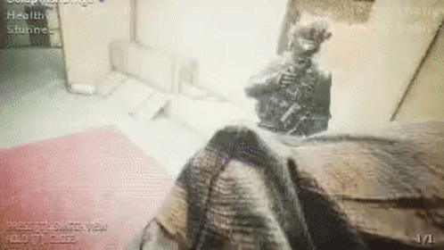 A Screenshot Of A Video Game Shows A Skeleton In A Room . GIF