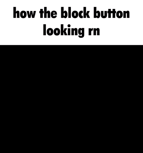 a screenshot of a video game that says how the block button looks rn