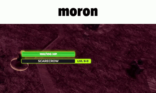 A Screenshot Of A Video Game With The Name Moron GIF