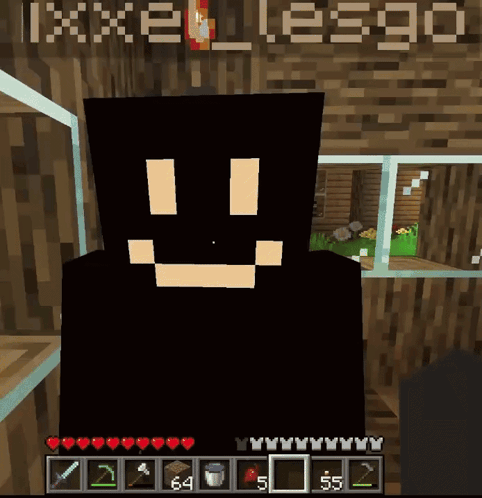 A Screenshot Of A Video Game With The Name Pixel Leego On The Top GIF