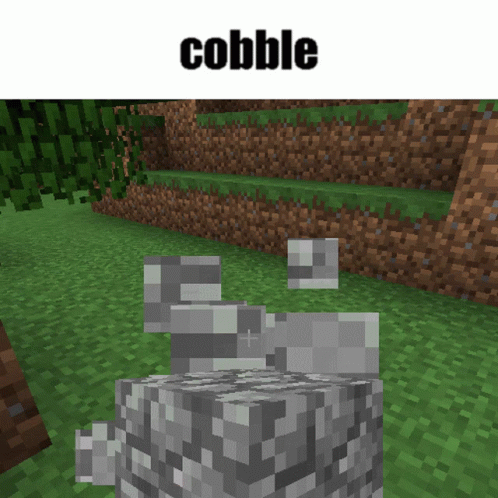 A Screenshot Of A Video Game With The Word Cobble At The Top GIF
