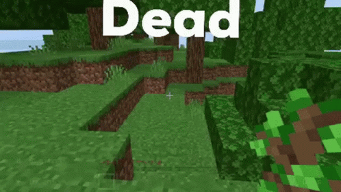 A Screenshot Of A Video Game With The Word Dead Written On It GIF