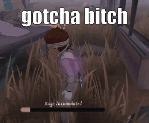 A Screenshot Of A Video Game With The Words Gotcha Bitch GIF