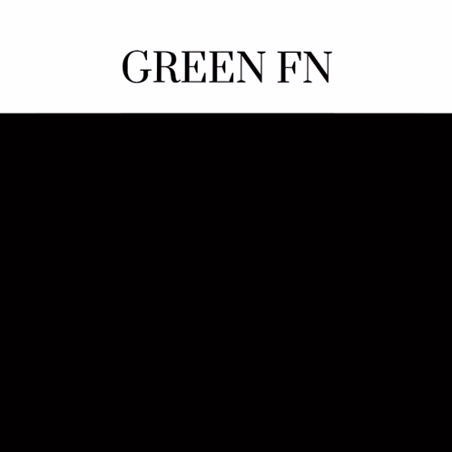 a screenshot of a video game with the words green fn on the top