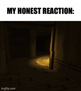 a screenshot of a video game with the words " my honest reaction " at the top