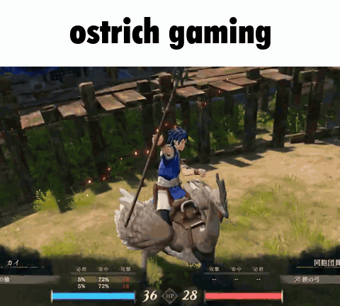 A Screenshot Of A Video Game With The Words Ostrich Gaming GIF