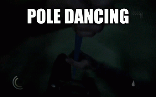 A Screenshot Of A Video Game With The Words Pole Dancing Above It GIF