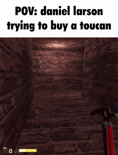 A Screenshot Of A Video Game With The Words Pov Daniel Larson Trying To Buy A Toucan GIF
