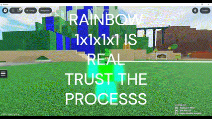 A Screenshot Of A Video Game With The Words " Rainbow 1X1x1 Is Real Trust The Process " GIF