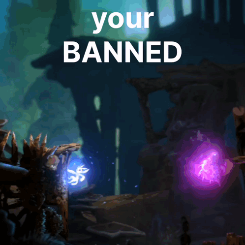A Screenshot Of A Video Game With The Words " Your Banned " Above It GIF