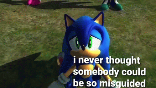 A Screenshot Of Sonic The Hedgehog With A Caption That Says I Never Thought Somebody Could Be So Misguided GIF