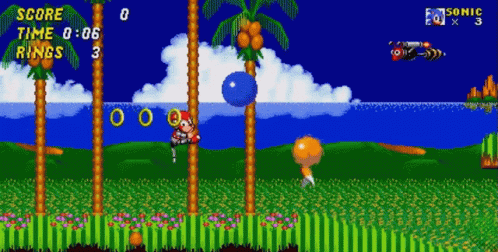 A Screenshot Of Sonic The Hedgehog With A Score Of 0 GIF